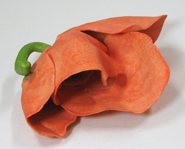 Tulppaani
