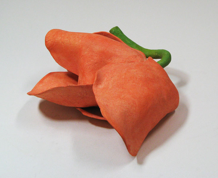 Tulppaani