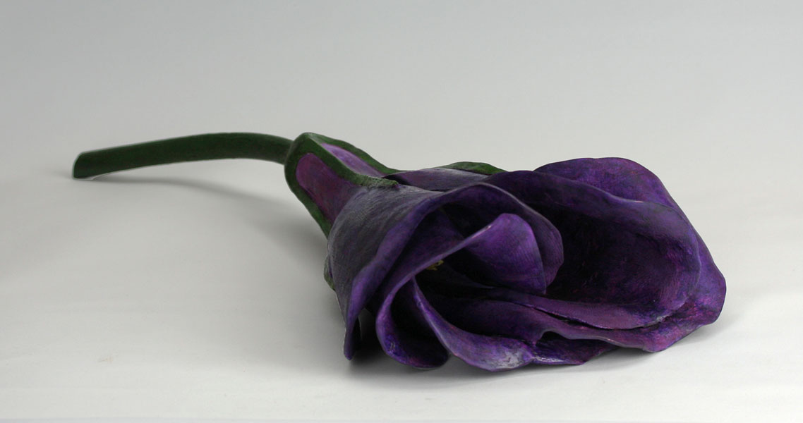 Viola