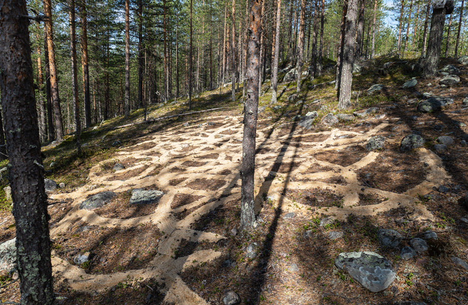 Samat ympyrät